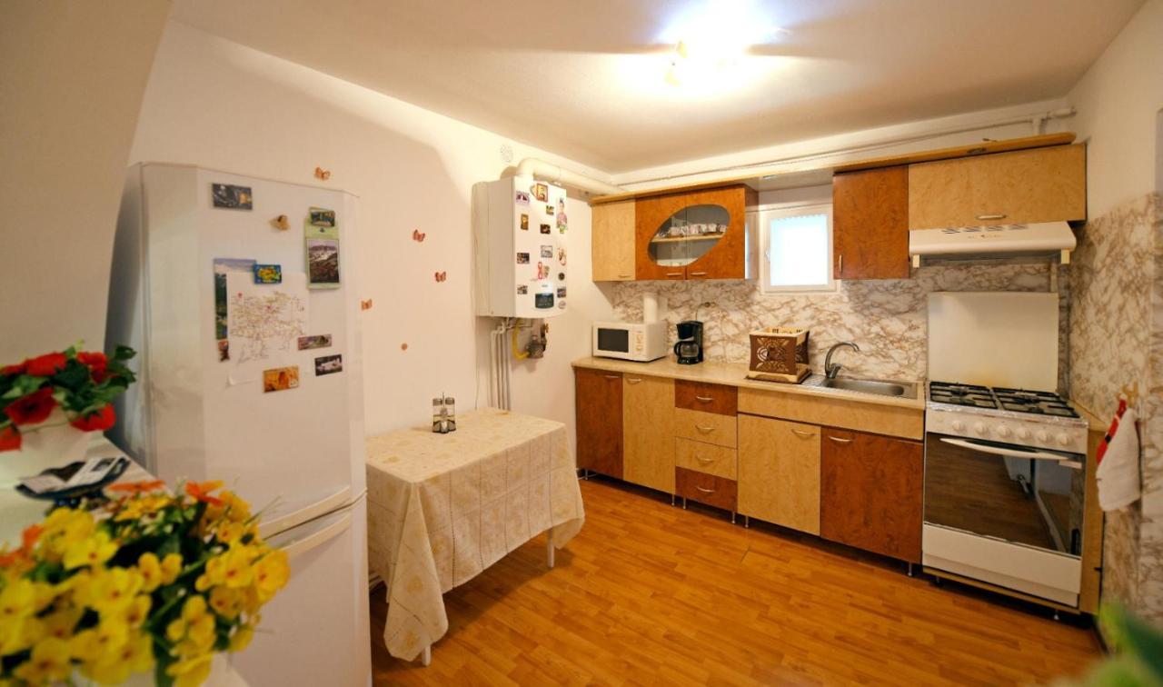 HaţegCasa Mirandre公寓 外观 照片